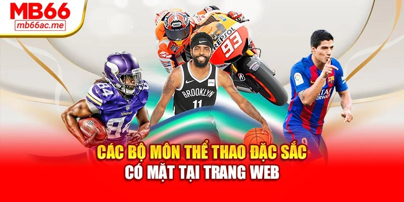 Các bộ môn thể thao đặc sắc có mặt tại trang web