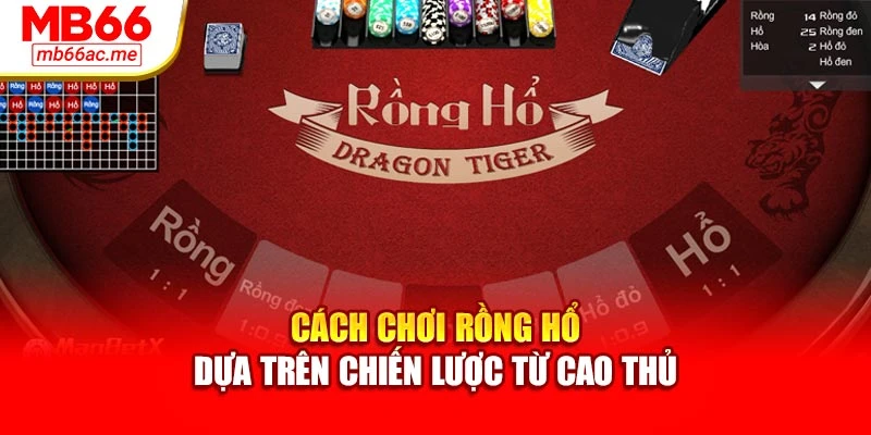 Cách chơi Rồng Hổ dựa trên chiến lược từ cao thủ