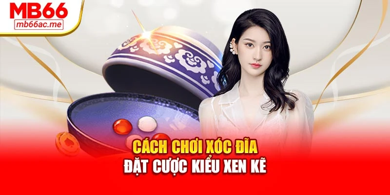 Cách chơi xóc đĩa - đặt cược kiểu xen kẽ