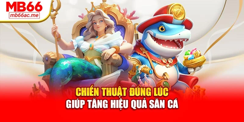 Chiến thuật đúng lúc giúp tăng hiệu quả săn cá