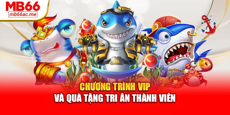 Chương trình VIP và quà tặng tri ân thành viên