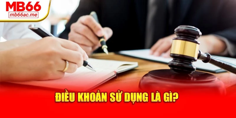 Điều khoản sử dụng là gì?