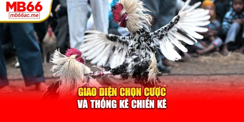 Giao diện chọn cược và thống kê chiến kê