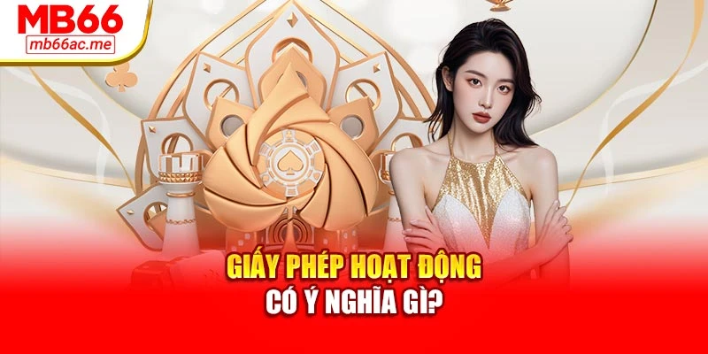 Giấy phép hoạt động có ý nghĩa gì