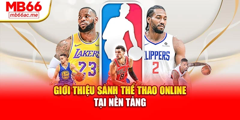 Giới thiệu sảnh thể thao online tại nền tảng
