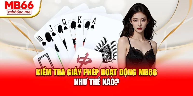 Kiểm tra giấy phép hoạt động MB66 như thế nào