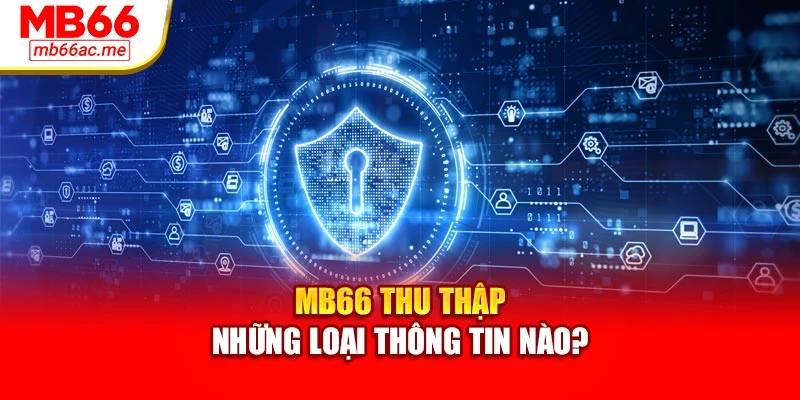 MB66 thu thập những loại thông tin nào?