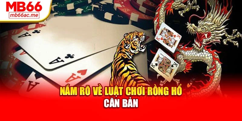 Nắm rõ về luật chơi Rồng Hổ căn bản