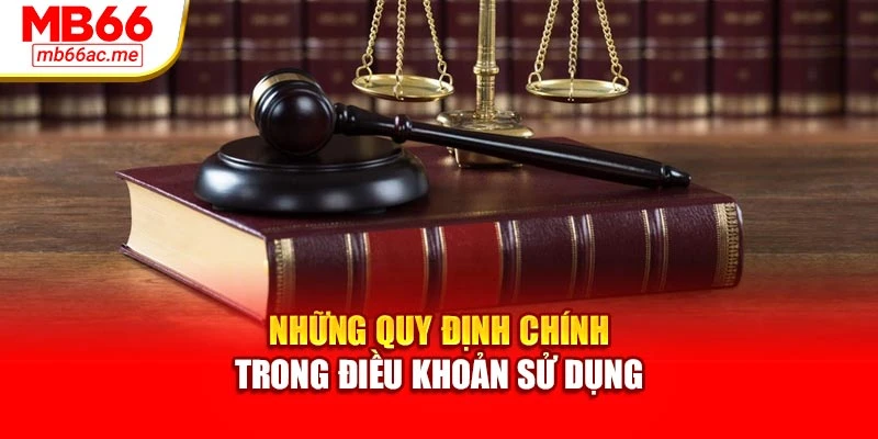 Những quy định chính trong điều khoản sử dụng