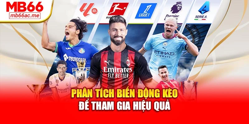 Phân tích biến động kèo để tham gia hiệu quả