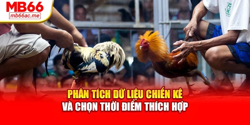 Phân tích dữ liệu chiến kê và chọn thời điểm thích hợp
