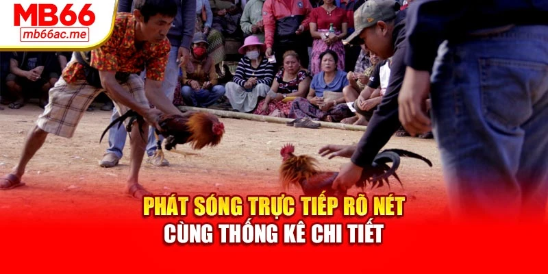 Phát sóng trực tiếp rõ nét cùng thống kê chi tiết