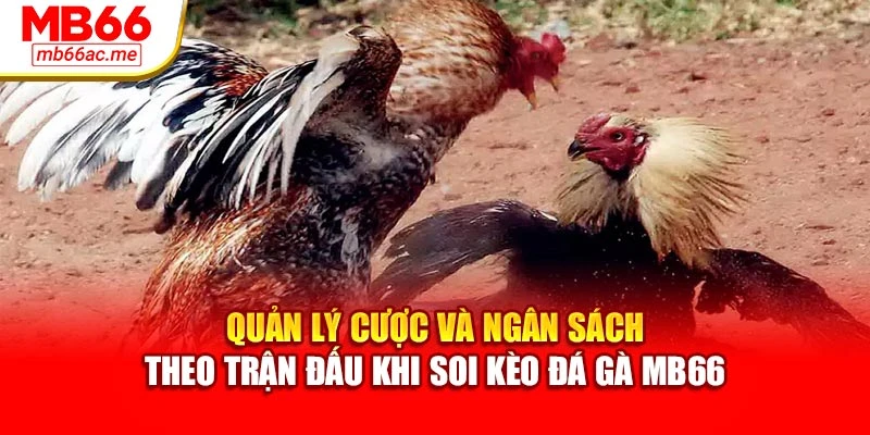 Quản lý cược và ngân sách theo trận đấu khi soi kèo đá gà MB66