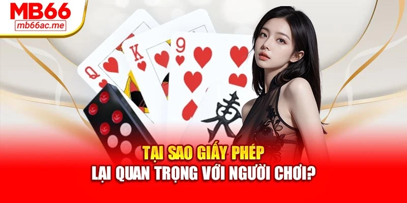 Tại sao giấy phép lại quan trọng với người chơi