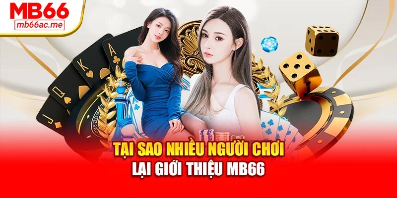 Tại sao nhiều người chơi lại giới thiệu MB66