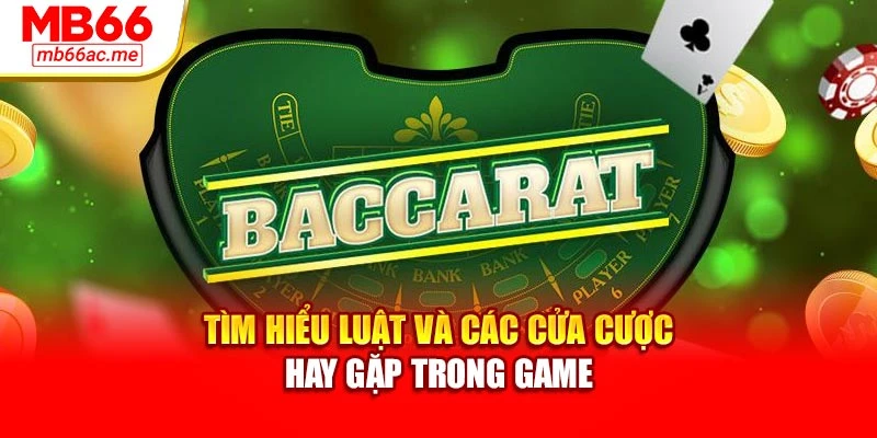 Tìm hiểu luật và các cửa cược hay gặp trong game