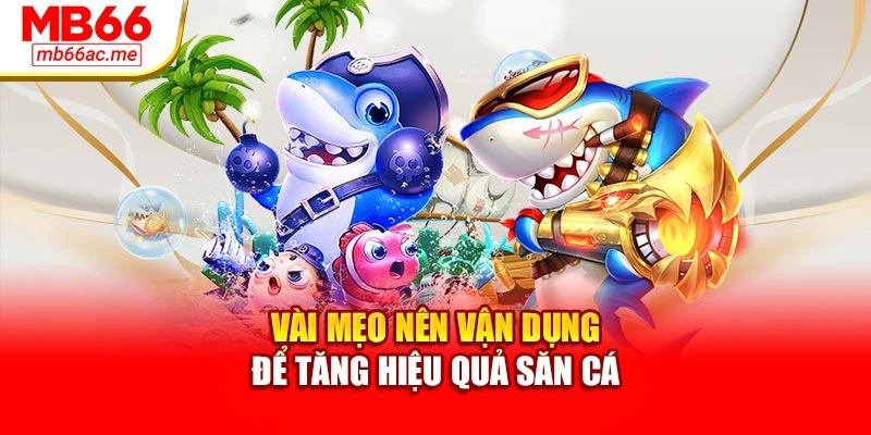 Vài mẹo nên vận dụng để tăng hiệu quả săn cá