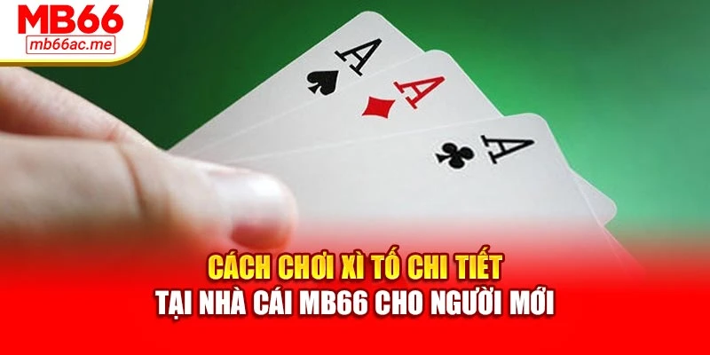 Cách Chơi Xì Tố Chi Tiết Tại Nhà Cái Mb66 Cho Người Mới