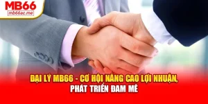 Đại Lý MB66 - Cơ Hội Nâng Cao Lợi Nhuận, Phát Triển Đam Mê